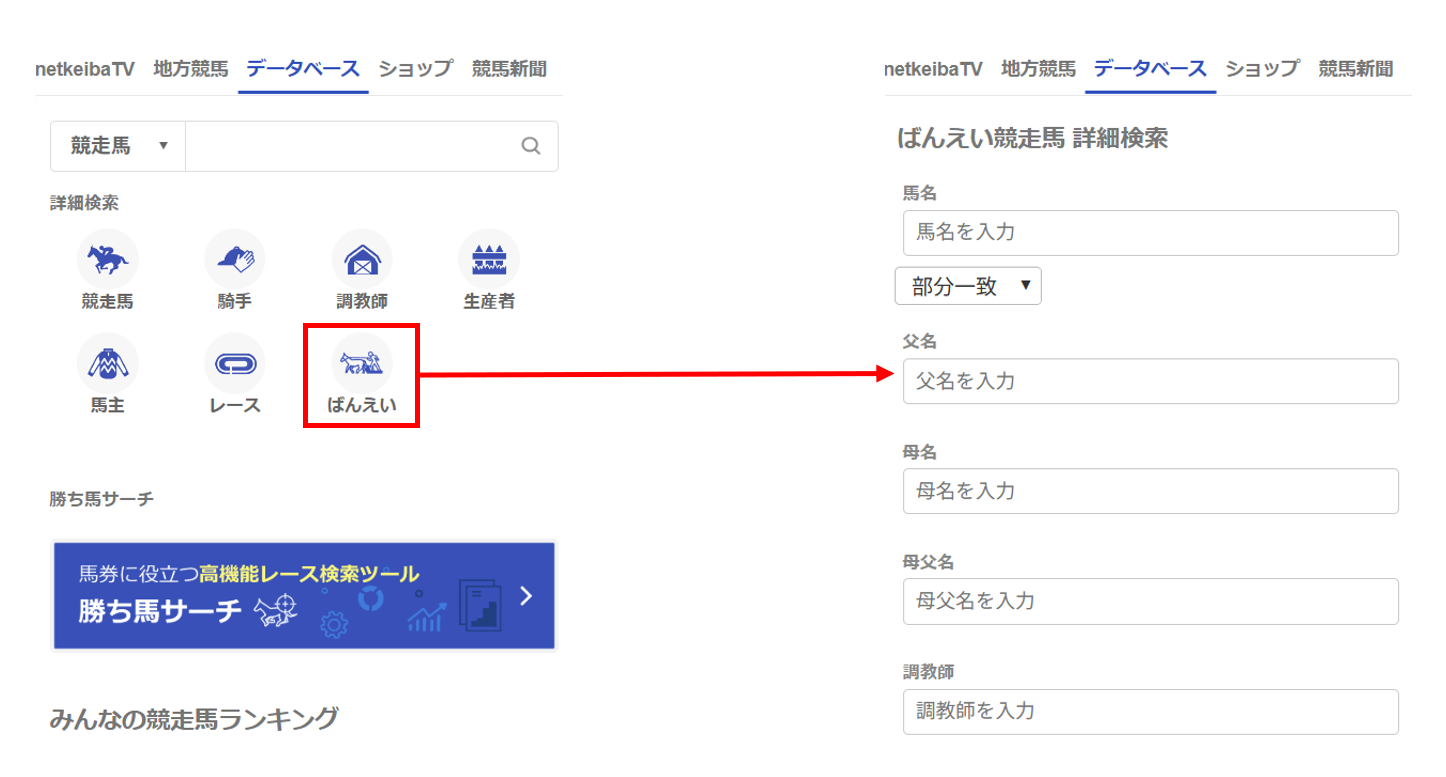 browser